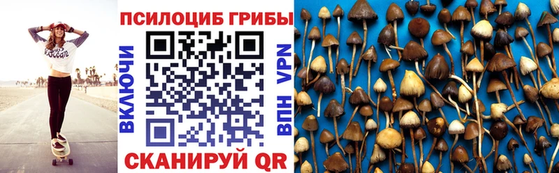 Псилоцибиновые грибы Psilocybe  где продают   OMG онион  Абдулино 